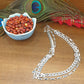 Double Layer Silver Chain Necklace